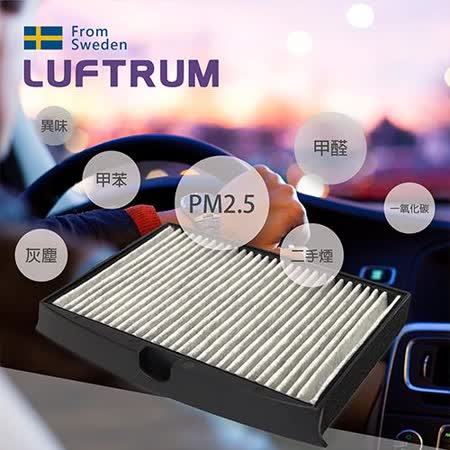 瑞典LUFTRUM C20A系列 雙效集塵除臭HEPA濾網 單片