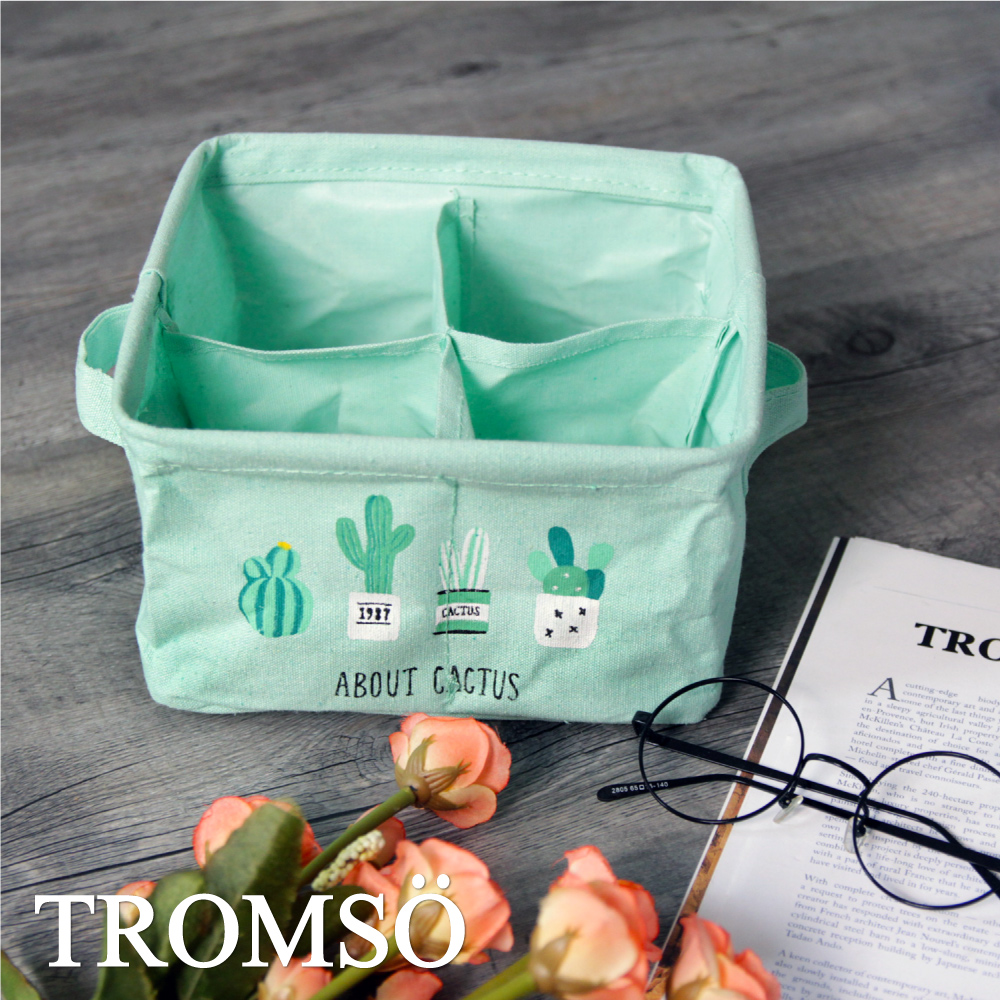 TROMSO陽光仙人掌四格收納籃-樂活綠