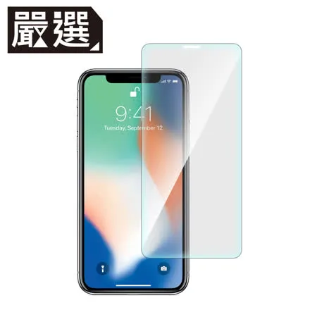 嚴選 iPhone XR 非滿版疏水疏油鋼化玻璃保護貼(6.1吋)