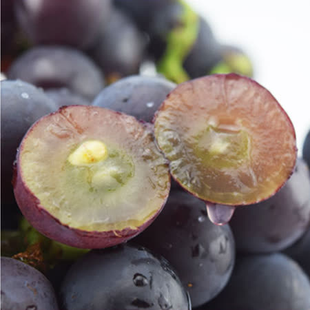 果之家台灣溪洲高級巨峰葡萄3台斤 約2 4房 Friday購物