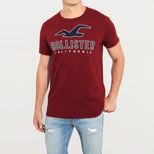 Hollister 海鷗 經典刺繡文字設計短袖T恤-酒紅色 323-248-0135-520