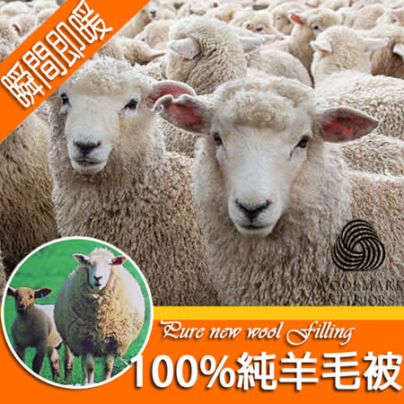 100%純羊毛 立即發熱
吸濕排氣不悶熱(單人)