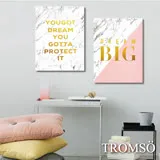 TROMSO時尚無框畫/金采大理石