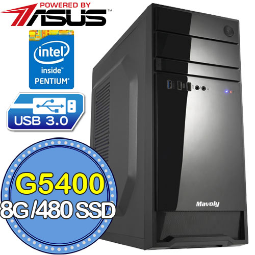 華碩H310平台【忠士執劍】G系列雙核 SSD 480G效能電腦