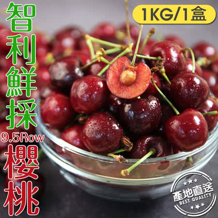9.5ROW
智利櫻桃1kg