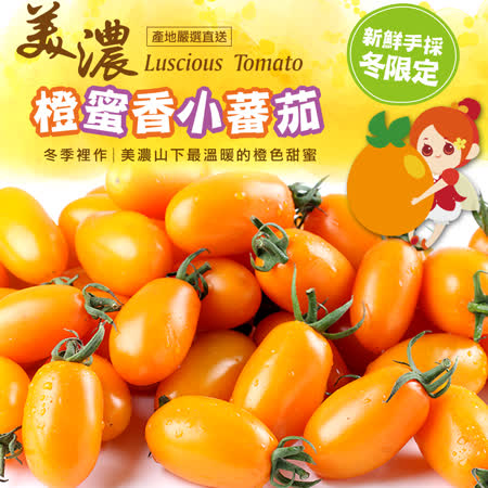 愛上新鮮
美濃鮮採橙蜜香小蕃茄