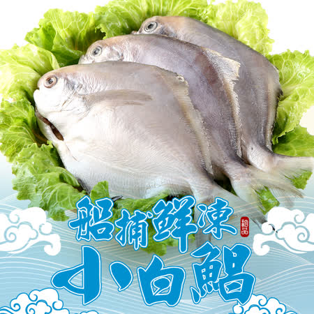 船捕鮮凍
小白鯧48隻(4隻裝/400g)