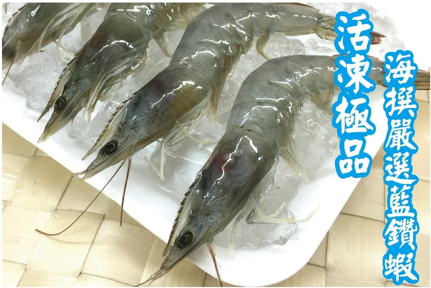 【海撰嚴選】極品藍鑽蝦(野生海水蝦)350g