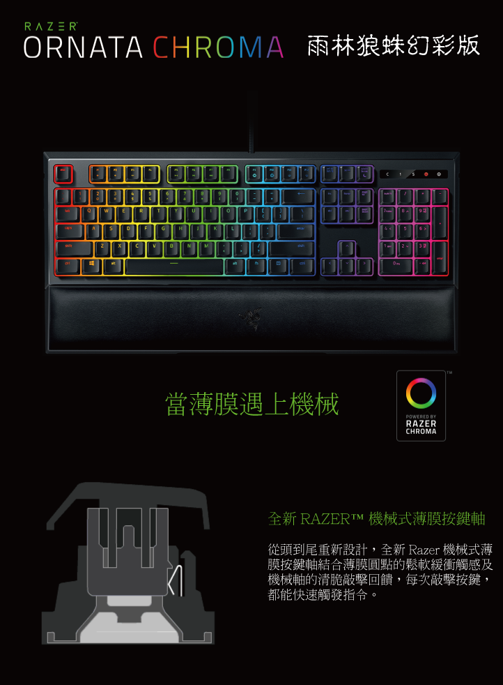 Razer Ornata Chroma 鍵盤(中) 雨林狼蛛幻彩