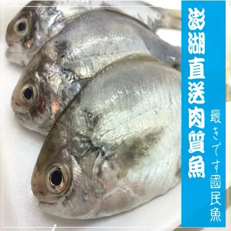 【海撰嚴選】澎湖肉質魚300g