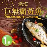 【築地一番鮮】巨無霸野生深海黃魚1尾(約650g/尾)-任選