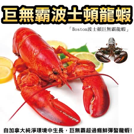 加拿大
波士頓螯龍蝦2隻