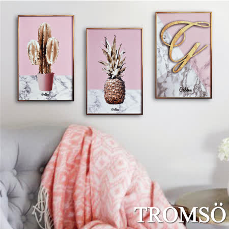 TROMSO北歐生活版畫有框畫-粉紅金鑽WA59(三幅一組)