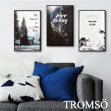 TROMSO北歐生活版畫有框畫-森林樂活WA62(三幅一組)