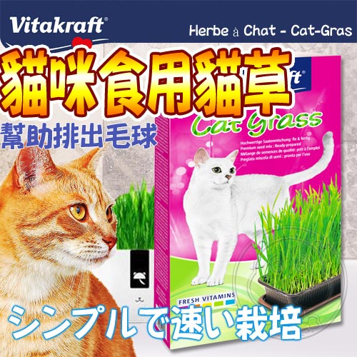 德國vita VitaKraft》天然貓草栽種套組-120g