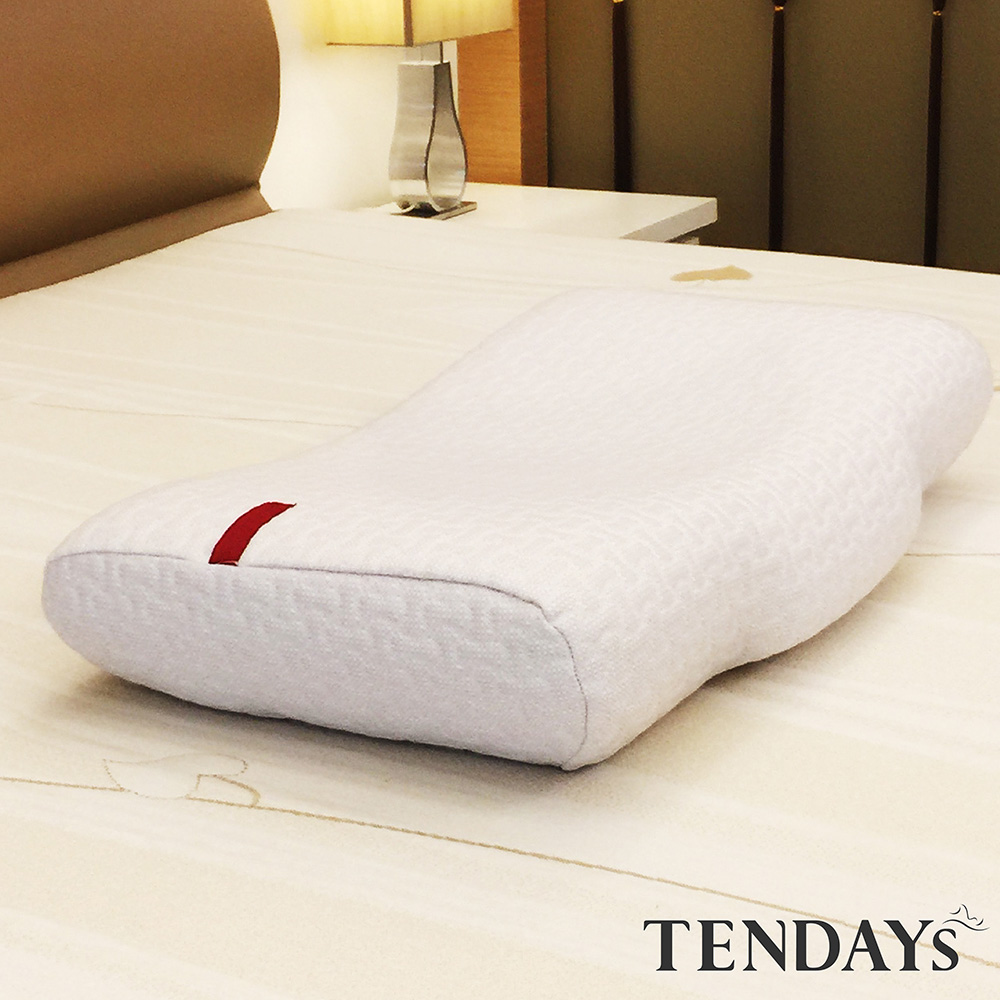 【TENDAYS】雲端舒適枕 減壓記憶枕(正側兩用枕)