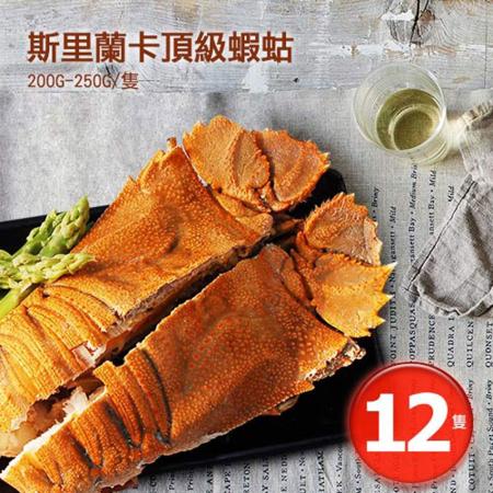 築地一番鮮
斯里蘭卡蝦姑12隻