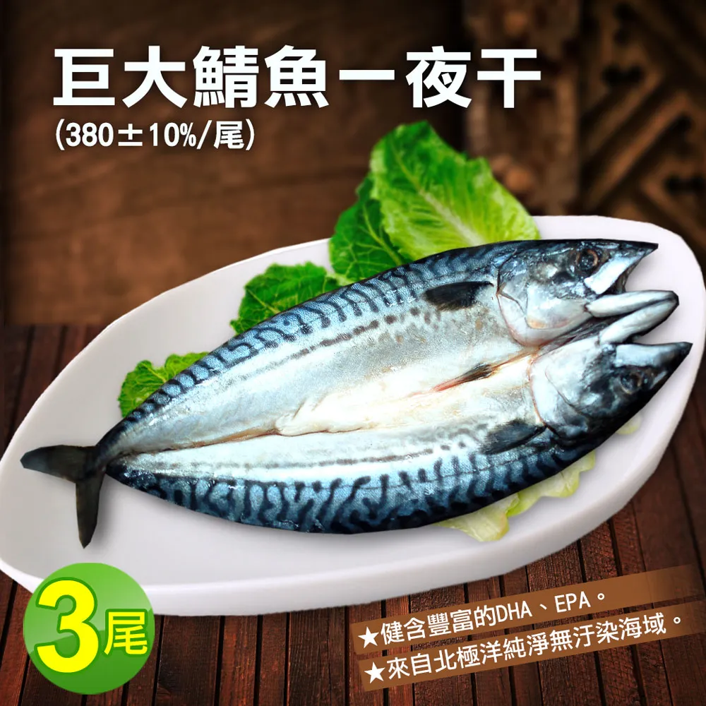 【築地一番鮮】北極洋海域鯖魚一夜幹3尾(380g/尾)免運組