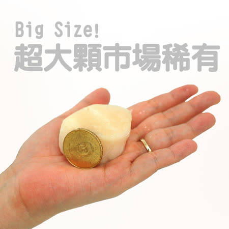 【築地一番鮮】北海道原裝刺身用大顆M生食干貝1盒(1kg/約26~30顆/盒)免運組