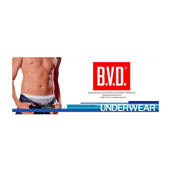 BVD 冰沁柔滑速乾V領短袖衫(4入組)