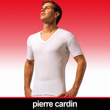 【Pierre Cardin 】皮爾卡登  新機能吸汗透氣U領短袖衫