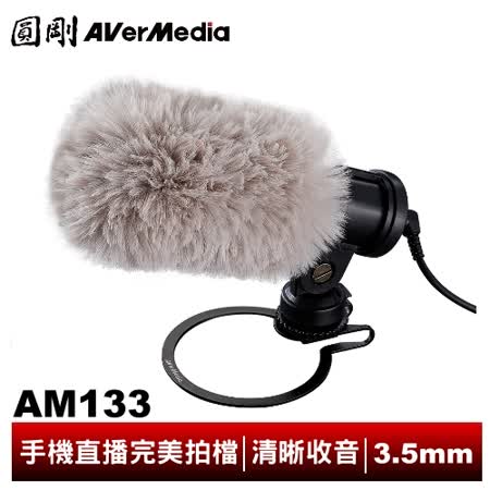 圓剛 AM133 
外接式收音麥克風 