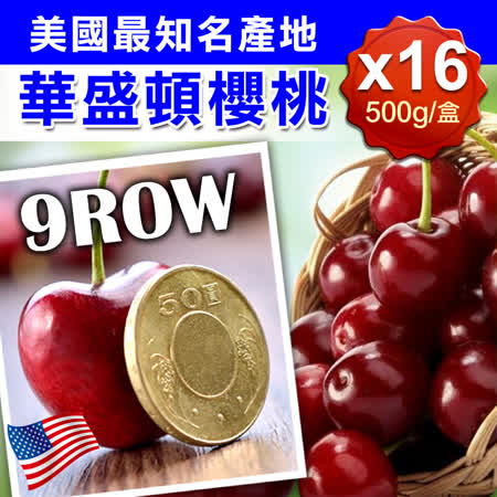 9ROW
華盛頓櫻桃500gX16盒