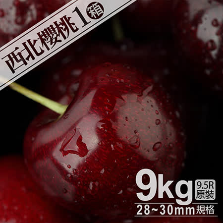 9.5ROW
華盛頓西北櫻桃9kg