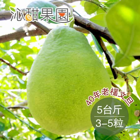 《沁甜果園SSN》
40年老欉文旦5台斤