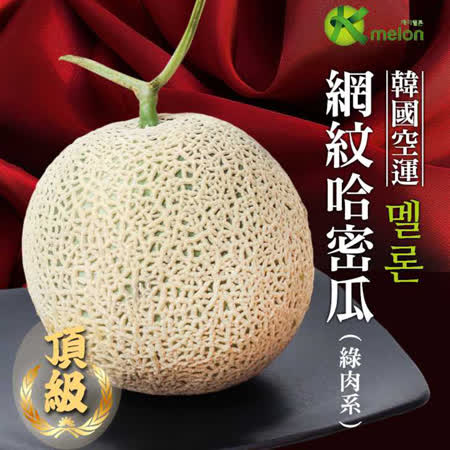 韓國空運
網紋哈密瓜4顆