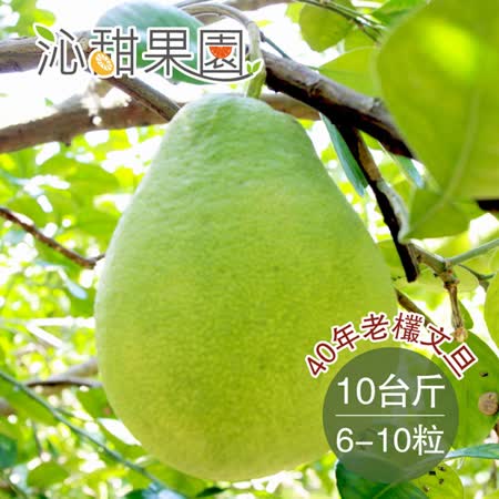 沁甜果園SSN
40年老欉文旦10台斤