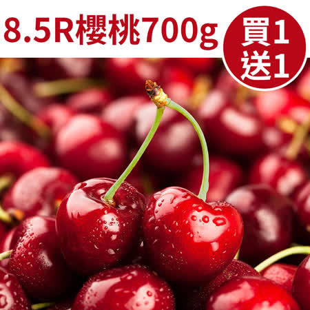 8.5Row
華盛頓櫻桃700g