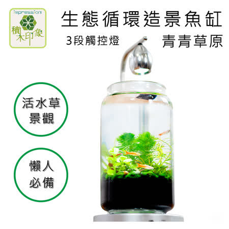 積木印象活水草生態紓壓懶人魚缸生態瓶造景系列 青青草原三段觸控燈款 Friday購物