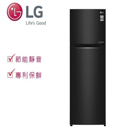 LG 樂金 315公升變頻雙門冰箱 GN-L397BS