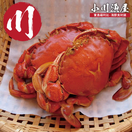 野生現撈熟凍
爆膏牛蹄蟹2箱
