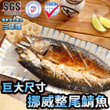 【海之金】超大整尾挪威薄鹽鯖魚1包(360g-400g/包)(任選)