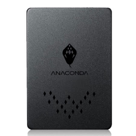 巨蟒 TB 暗黑蟒 960GB
2.5吋 固態硬碟 SSD 