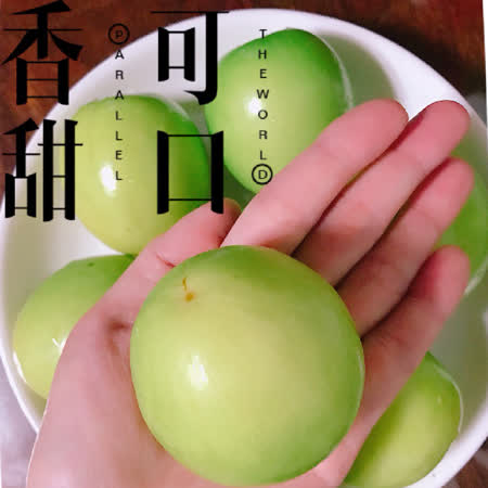 燕巢特選
蜜糖牛奶蜜棗5斤x2箱