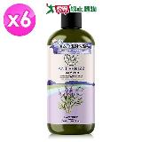 Petal Fresh 有機成份薰衣草滋潤洗髮精 475mlX6瓶/箱