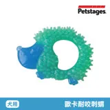 美國 Petstages 67893 歐卡耐咬刺蝟 寵物 磨牙 潔齒 啃咬 耐咬 防水 狗玩具 安全 寵物玩具