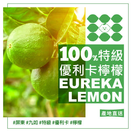 【檸檬大叔】常溫檸檬原汁磚 100%台灣九如優利卡檸檬原汁製成 12顆/盒 ★2盒入★