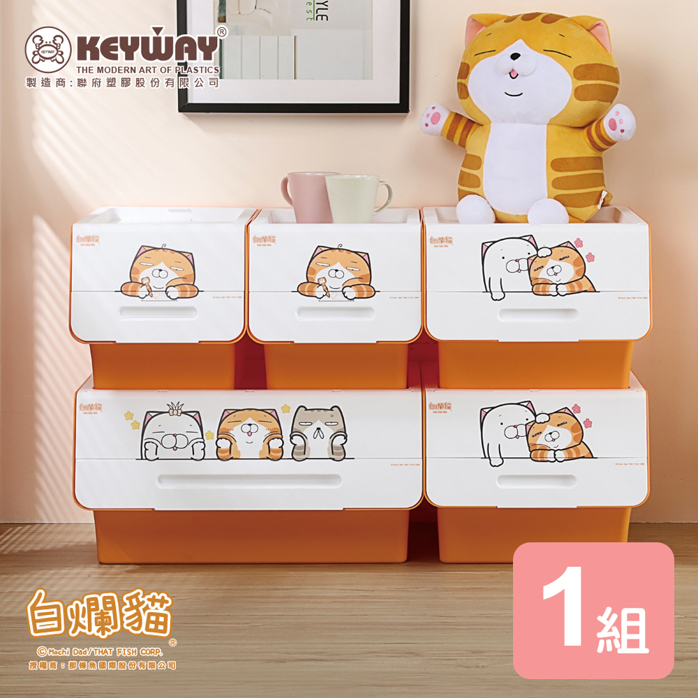 《KEYWAY 白爛貓》小家庭直取系統式整理箱5入組