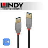 LINDY 林帝 ANTHRA USB3.0 Type-A 公 to A母 延長線 1m (36761)