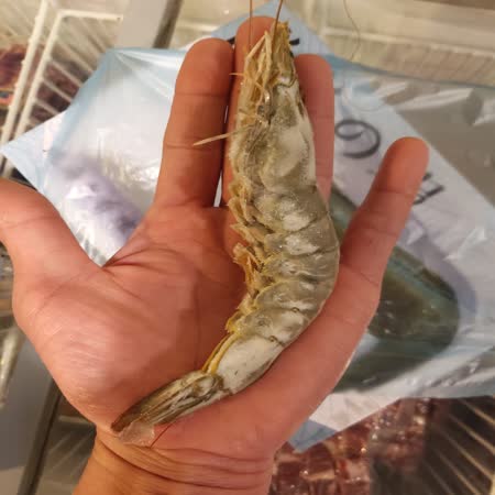 頂級天然活凍超大白蝦(共4盒 600g ±10% 約 20~25尾/盒)