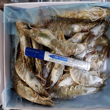 頂級天然活凍超大白蝦(共3盒 900g ±10% 約 25~30尾/盒)