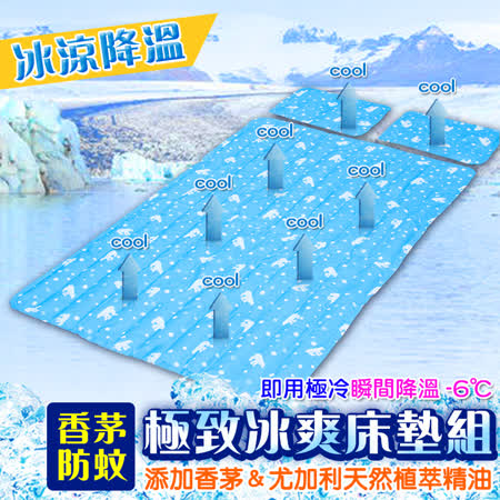 防蚊極勁冷凝墊組
床墊1入+萬用墊 2入