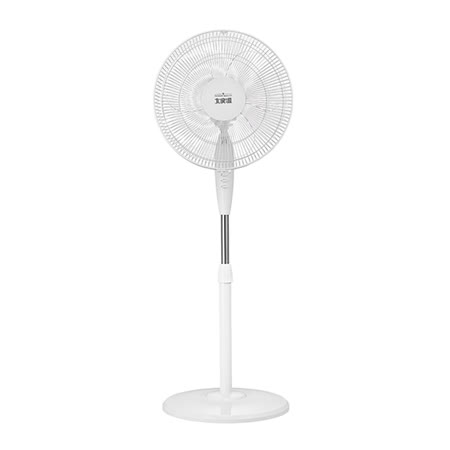 大家源
14吋立扇 TCY-851401