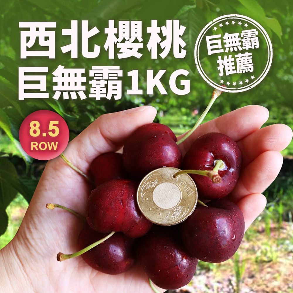 8.5ROW
華盛頓西北櫻桃1kg
