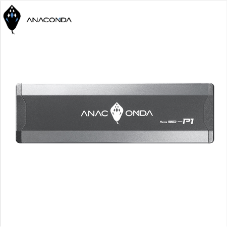 ANACOMDA巨蟒 P1 256GB USB 3.2 Gen3外接式固態硬碟SSD