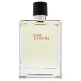 HERMES 愛馬仕 Terre D'Hermes 大地淡香水 EDT 100ml TESTER